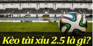 Kèo Tài Xỉu 2.5 và Những Điều Cần Biết Cho Các Cược Thủ