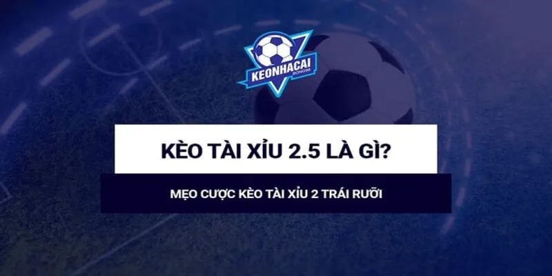 Kèo Tài Xỉu 2.5 và Những Điều Cần Biết Cho Các Cược Thủ 1 Kèo Tài Xỉu 2.5 Là Gì?