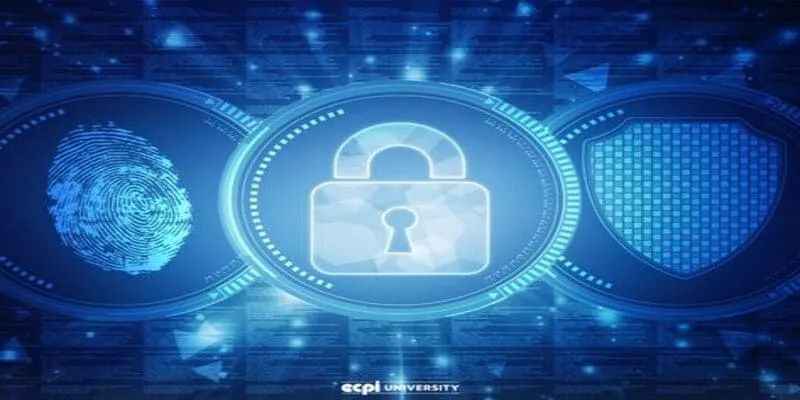 Trách Nhiệm Của Người Chơi Và Nhà Cái